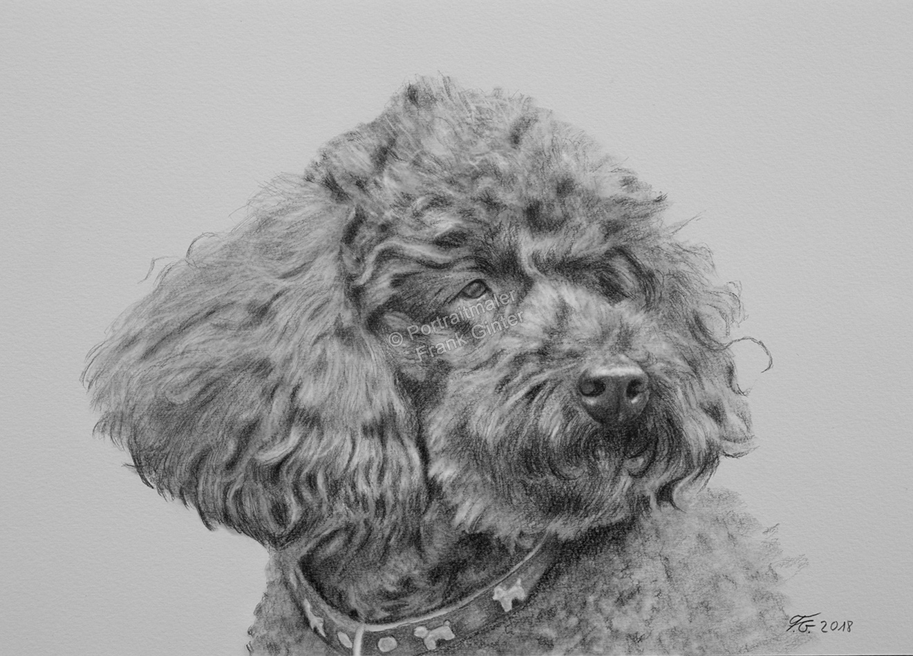 Bleistiftzeichnungen-Portrait-Hund-02