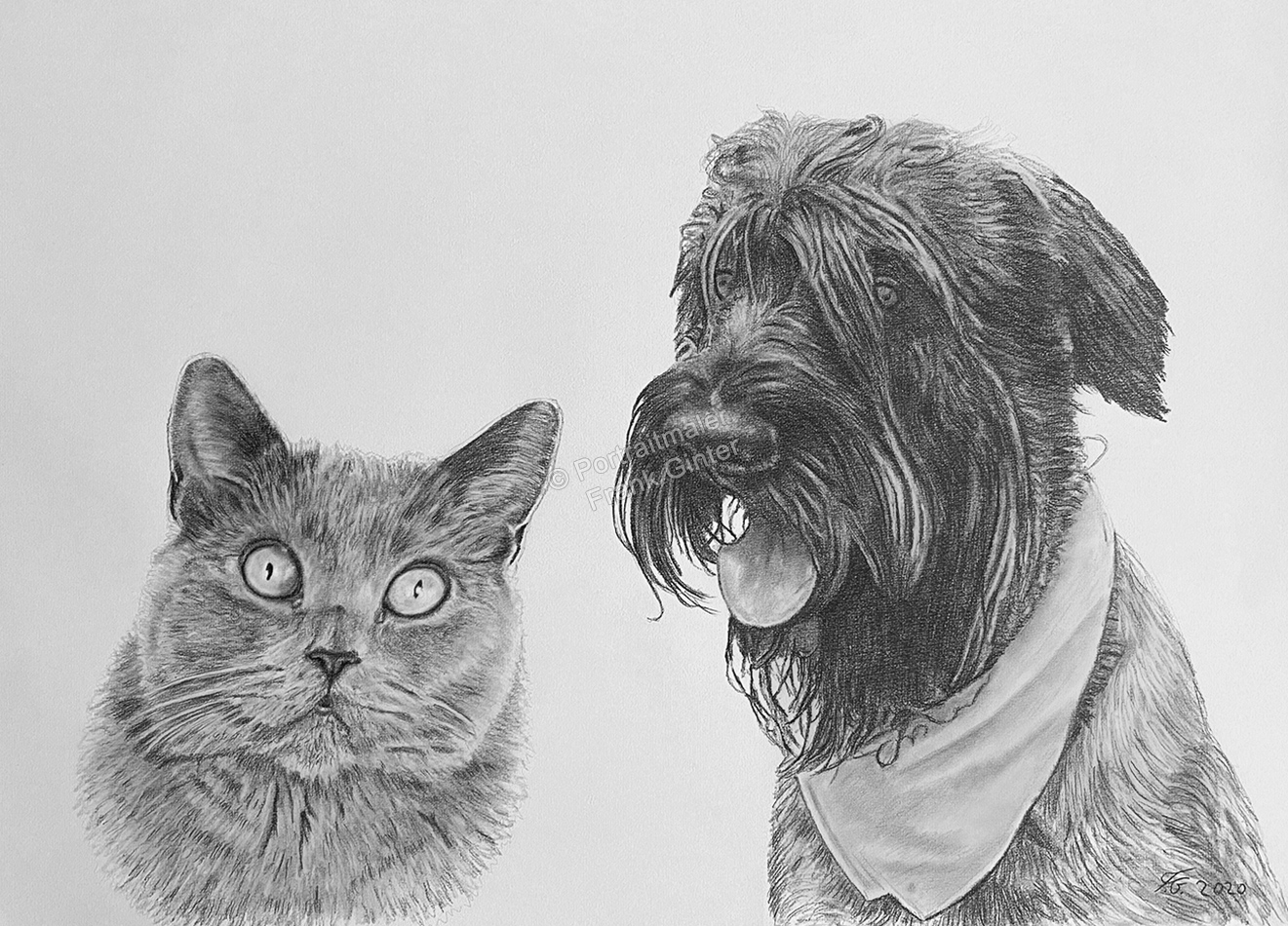 Hundeportrait und Katzenportrait - Bleistiftzeichnung Katze mit Hund - Tierportraits